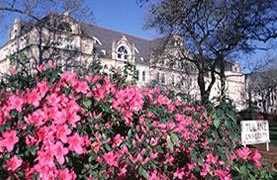 Tulane campus